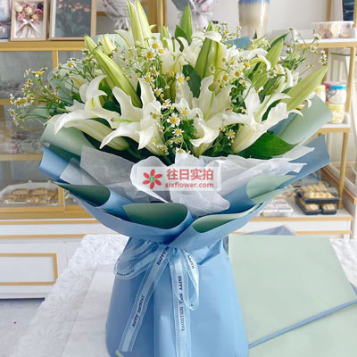 赣州8支白色多头百合洋甘菊，互倾的思念