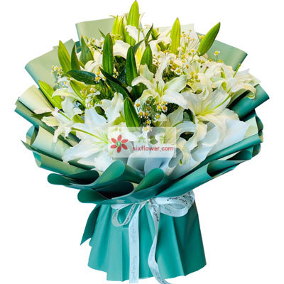 赣州8支白色多头百合洋甘菊，如潮的思念